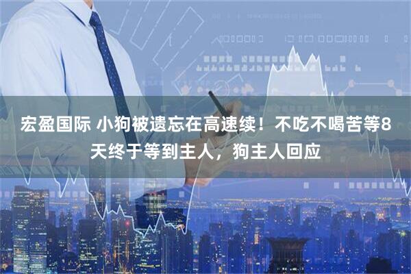 宏盈国际 小狗被遗忘在高速续!不吃不喝苦等8天终于等到主人,狗主人回应