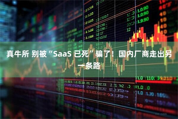 真牛所 别被“SaaS 已死”骗了!国内厂商走出另一条路
