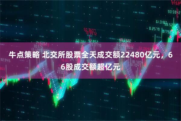 牛点策略 北交所股票全天成交额22480亿元，66股成交额超亿元