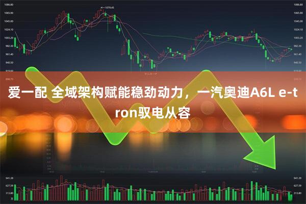 爱一配 全域架构赋能稳劲动力，一汽奥迪A6L e-tron驭电从容