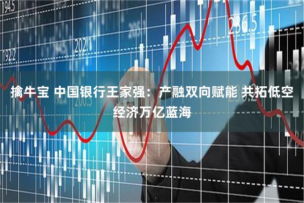 擒牛宝 中国银行王家强：产融双向赋能 共拓低空经济万亿蓝海