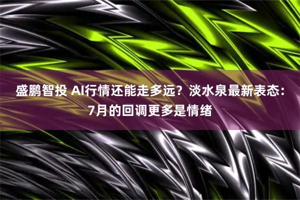 盛鹏智投 AI行情还能走多远？淡水泉最新表态：7月的回调更多是情绪